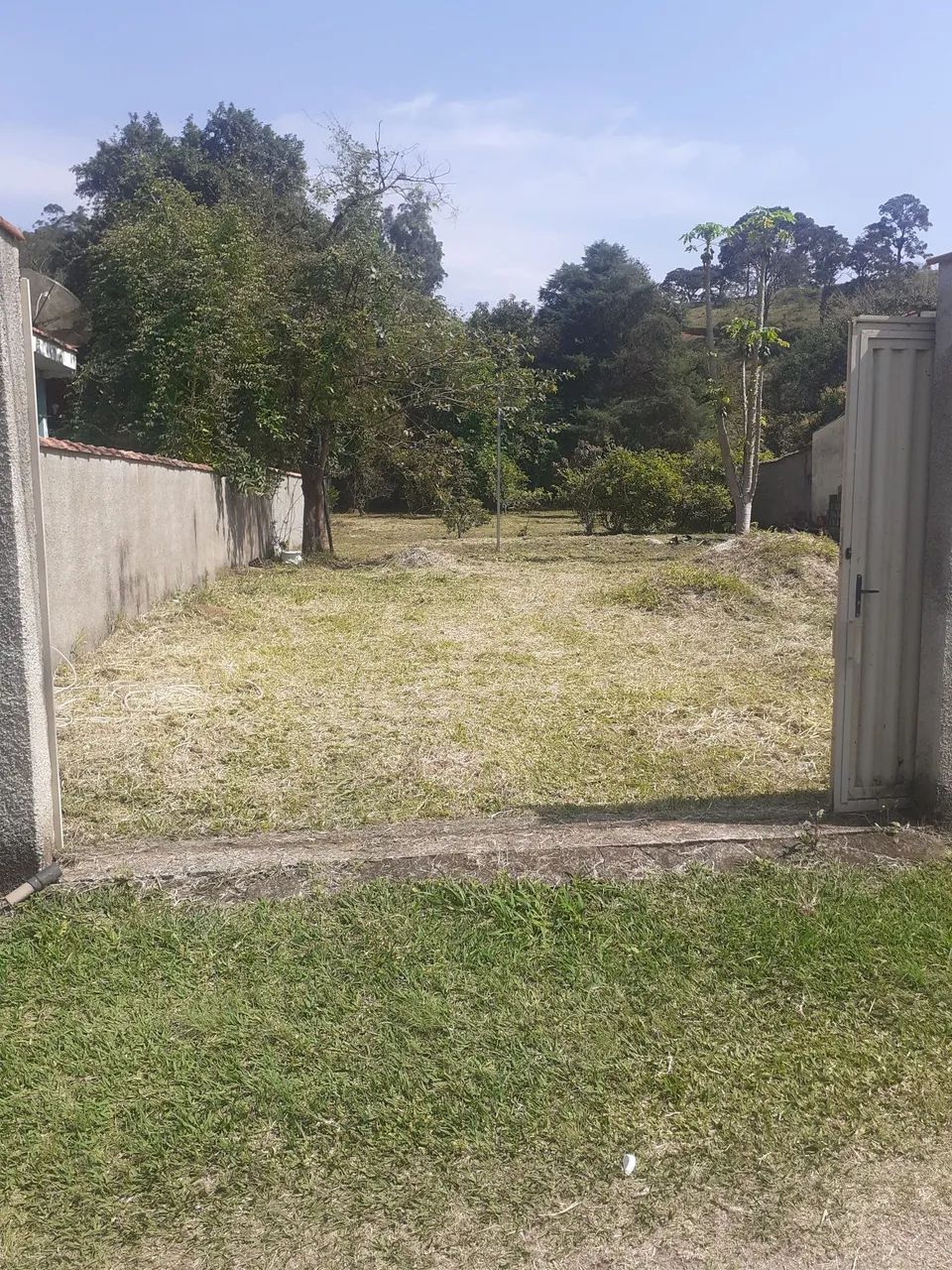 Lote - Foto 3
