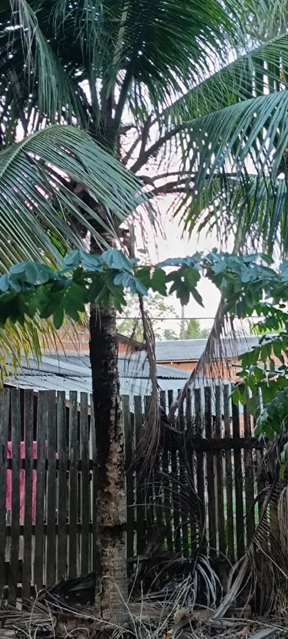 Vendo ou troco  - Foto 5