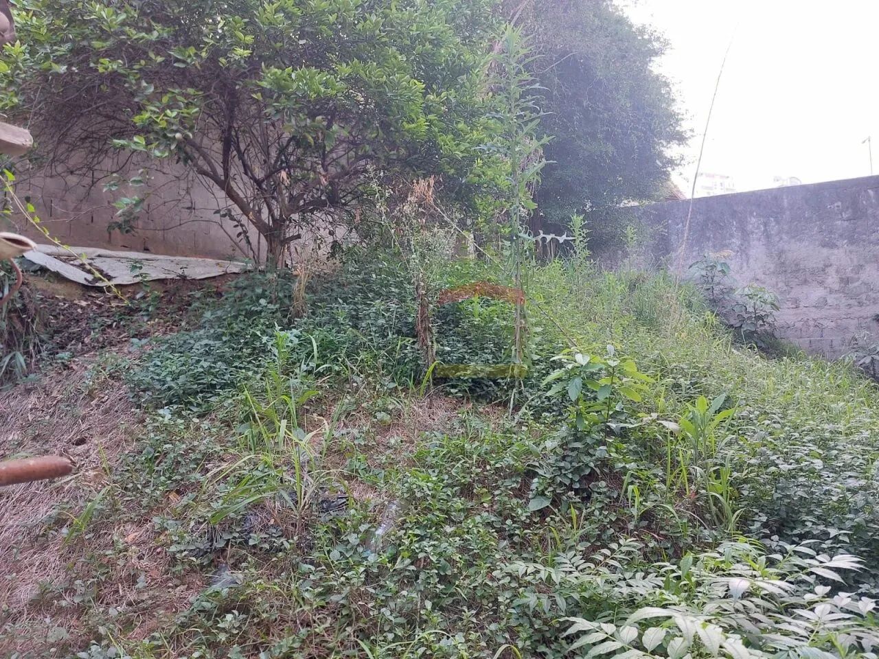 Casa e Salão Comercial - Vila Guaca - Foto 4