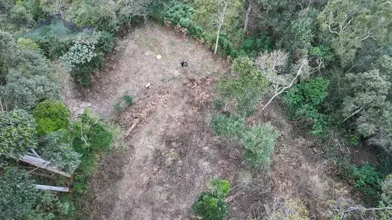 Terreno plano a venda com 20.000 m2 em Campo do Coelho - Nova Friburgo - RJ - Foto 3