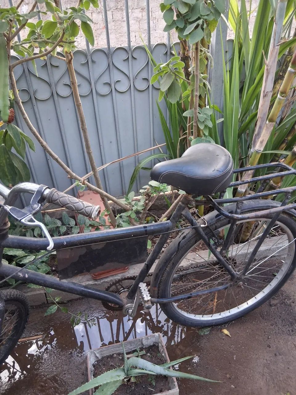 Bicicleta cargueira  - Foto 3