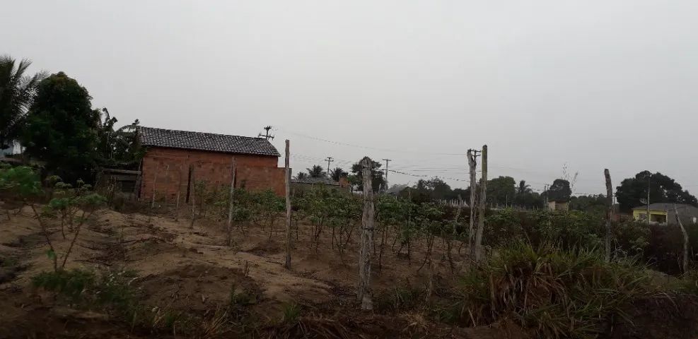 Terreno em Taquarana - Foto 5