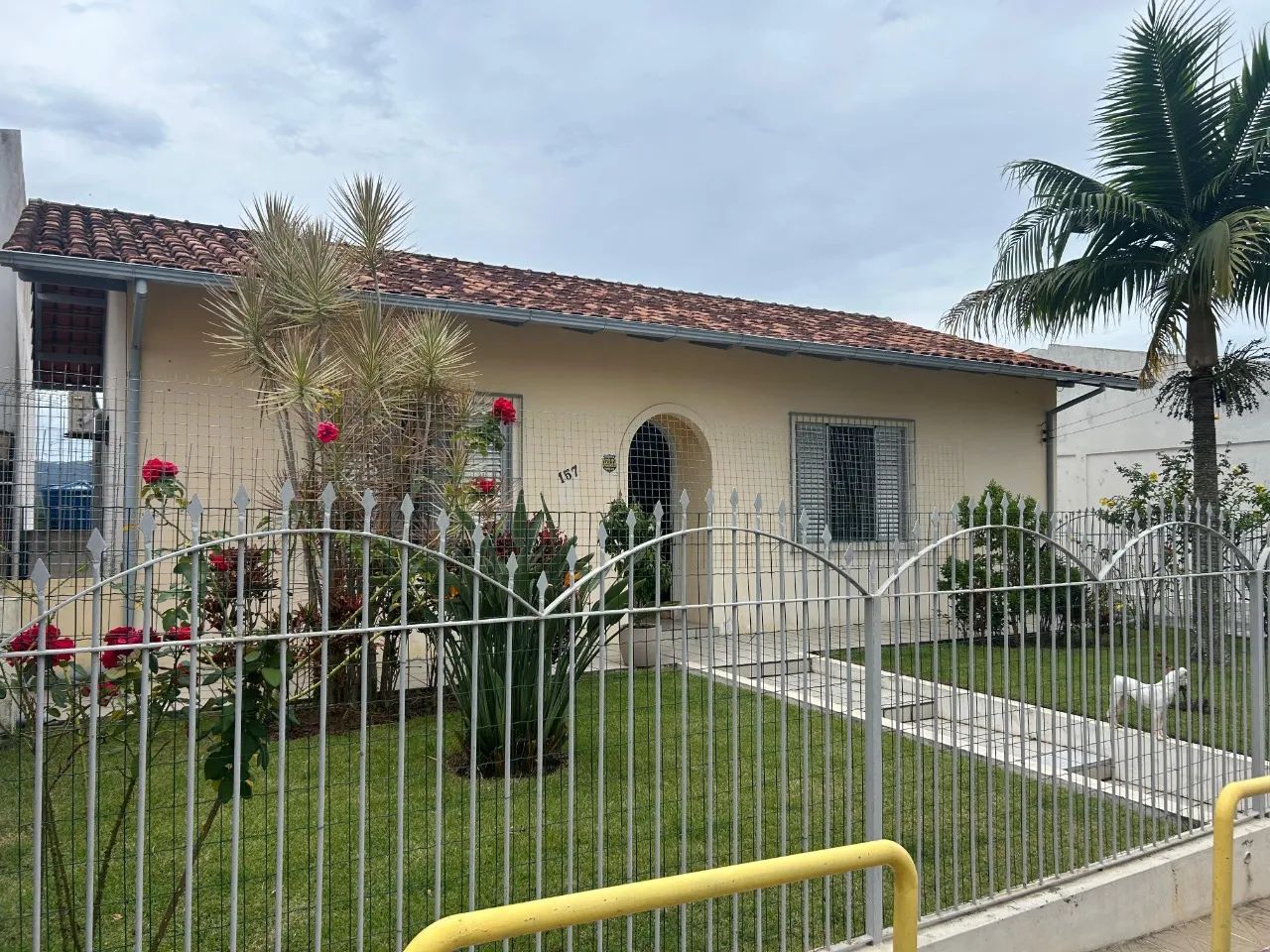 Casa de 5 dormitórios à venda na Agronômica