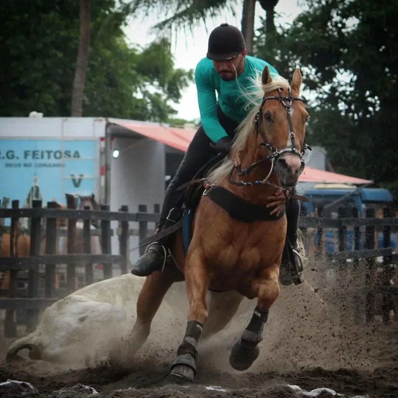 CAVALO DE DIREITA  - Foto 3