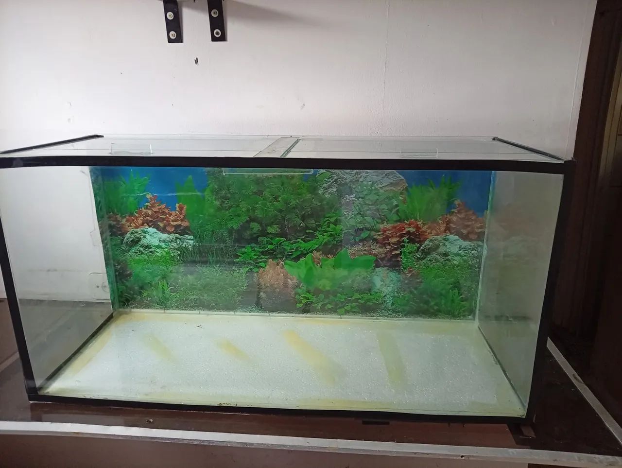 Aquário (ler anúncio) - Foto 4