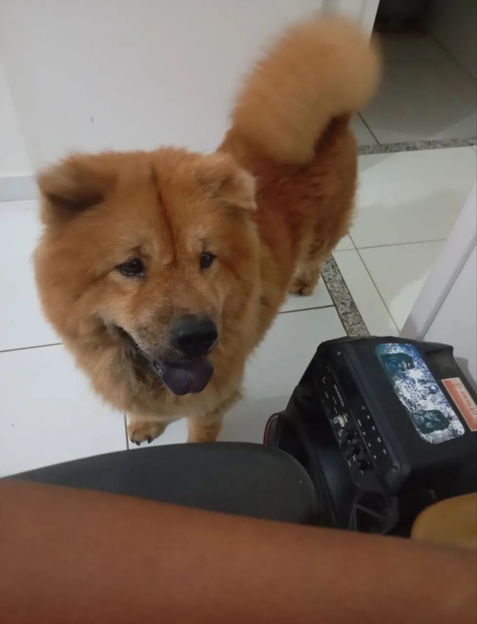 Doação  - Foto 4