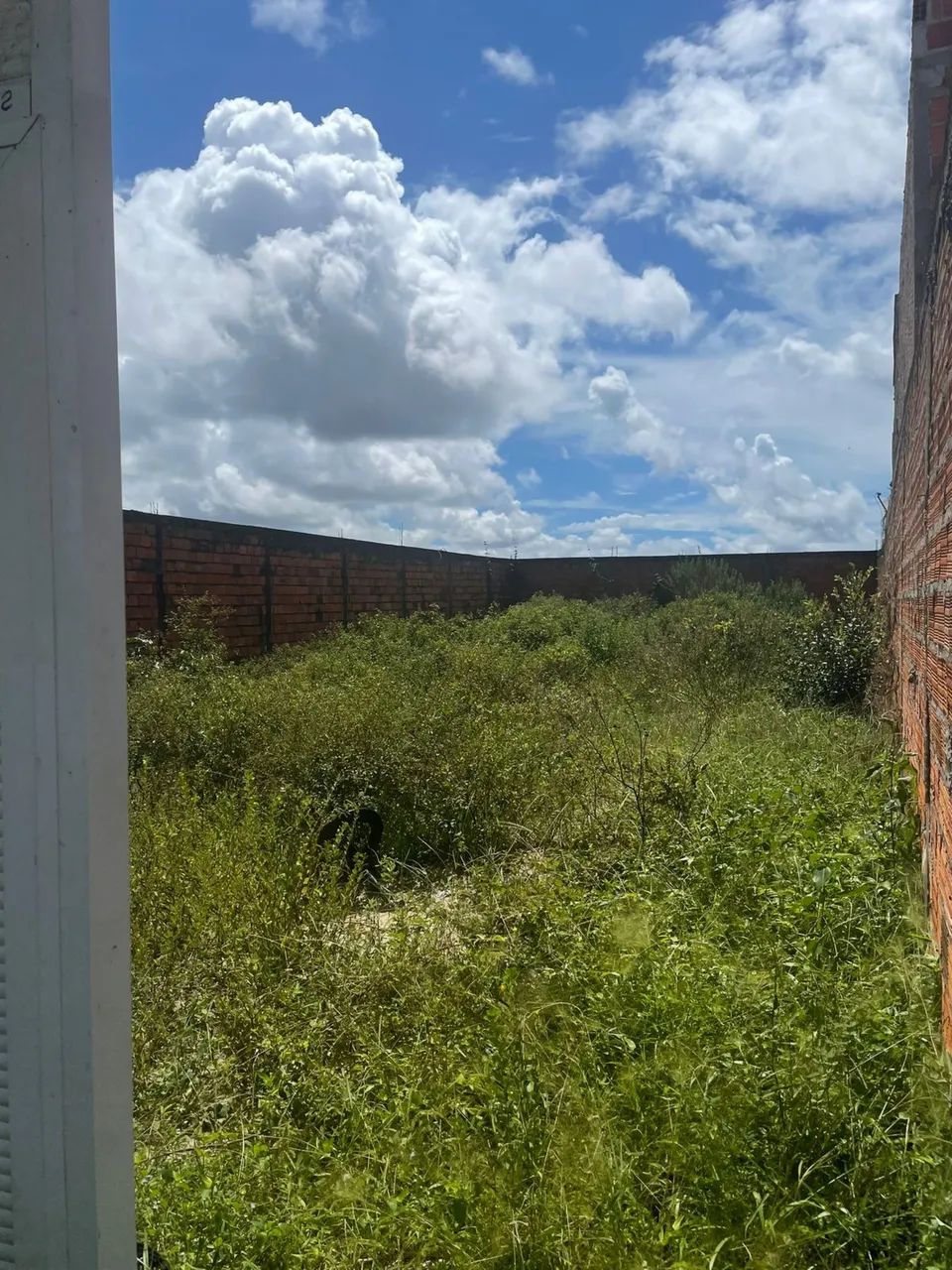 TERRENO EM BARREIRINHAS MA   - Foto 2