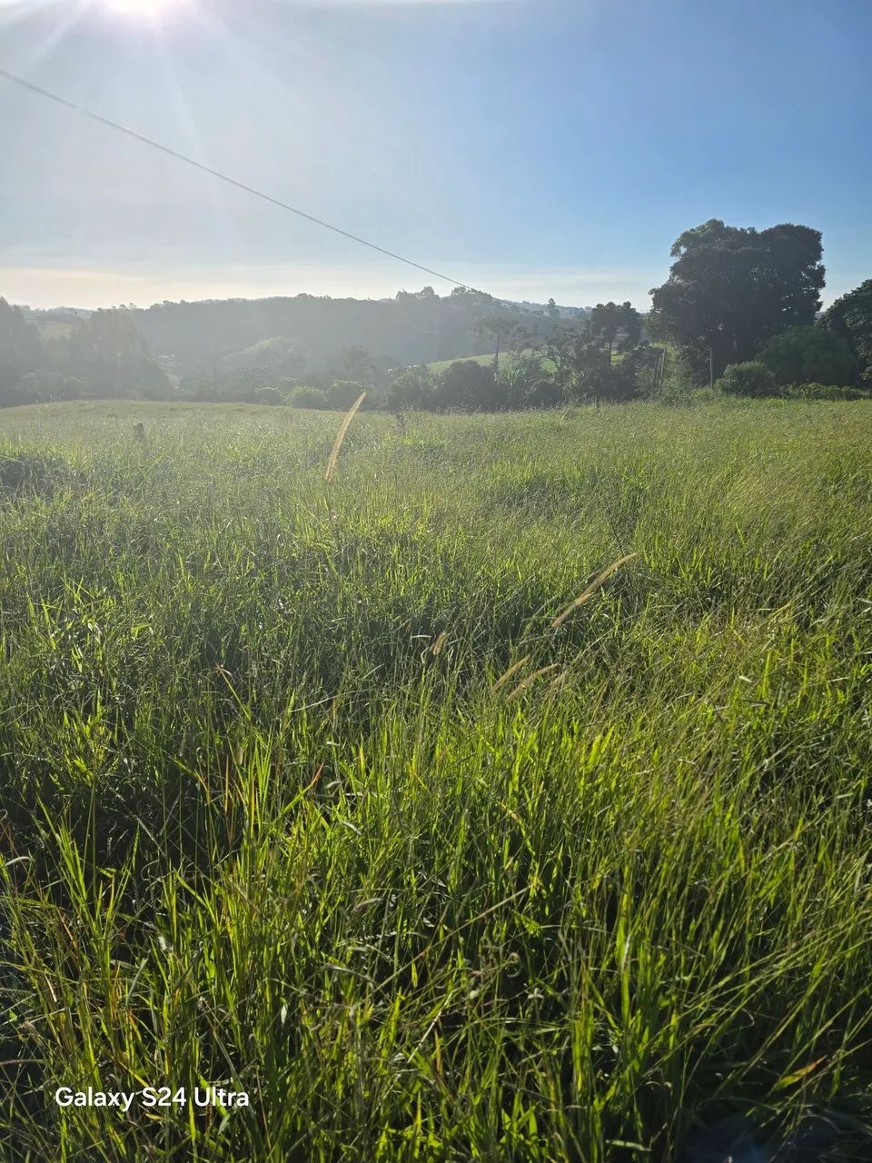 Terreno Bom Jardim  - Foto 5