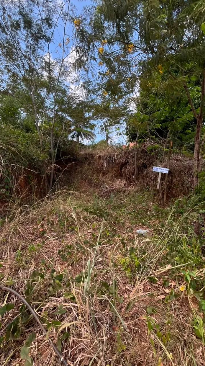 LOTE  - Foto 2