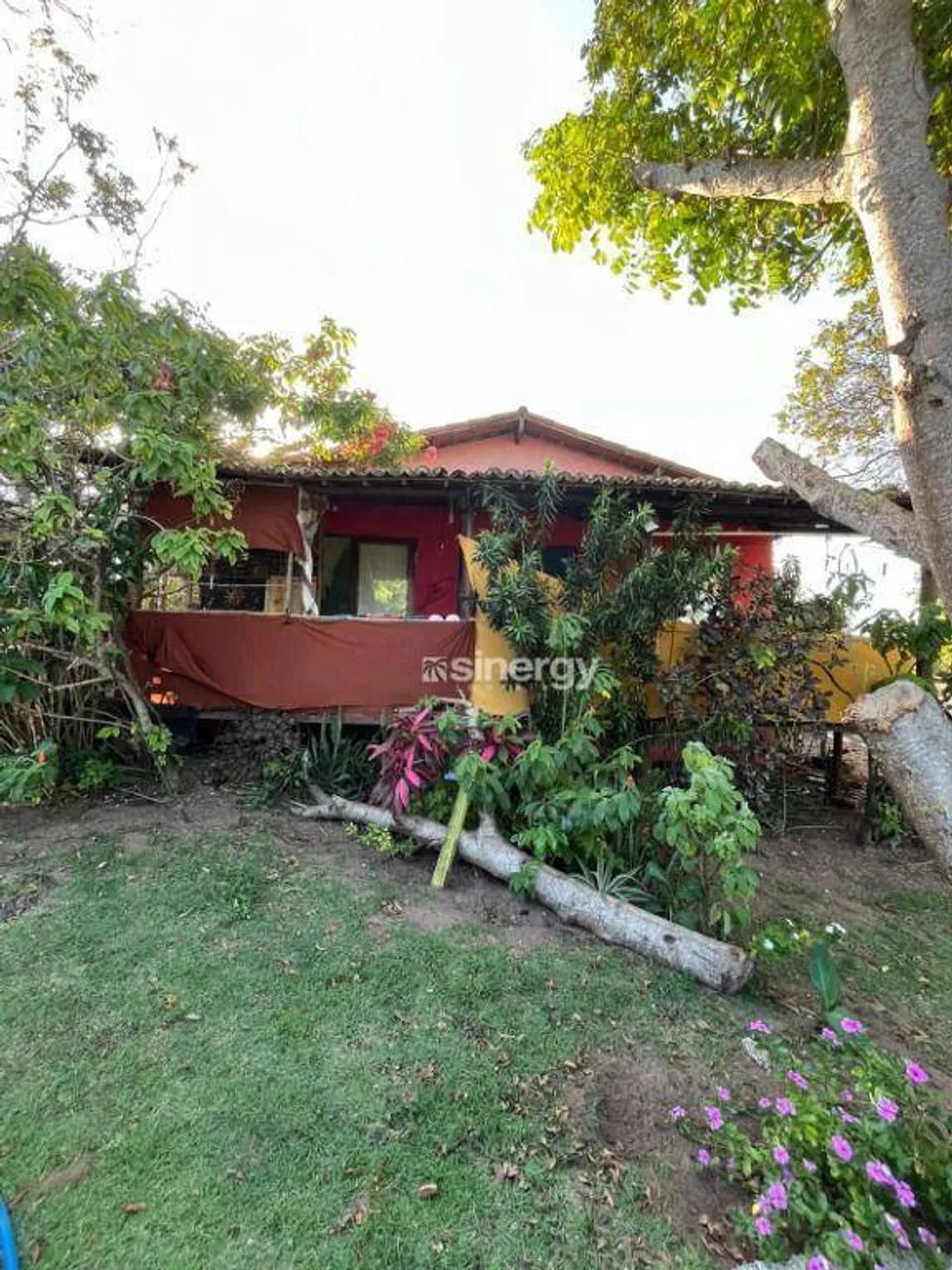 terreno de 2341mt com 4 casas - Foto 4