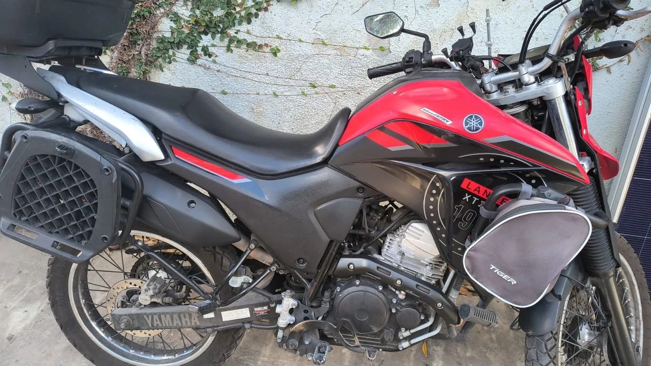 Vendo Lander 2023