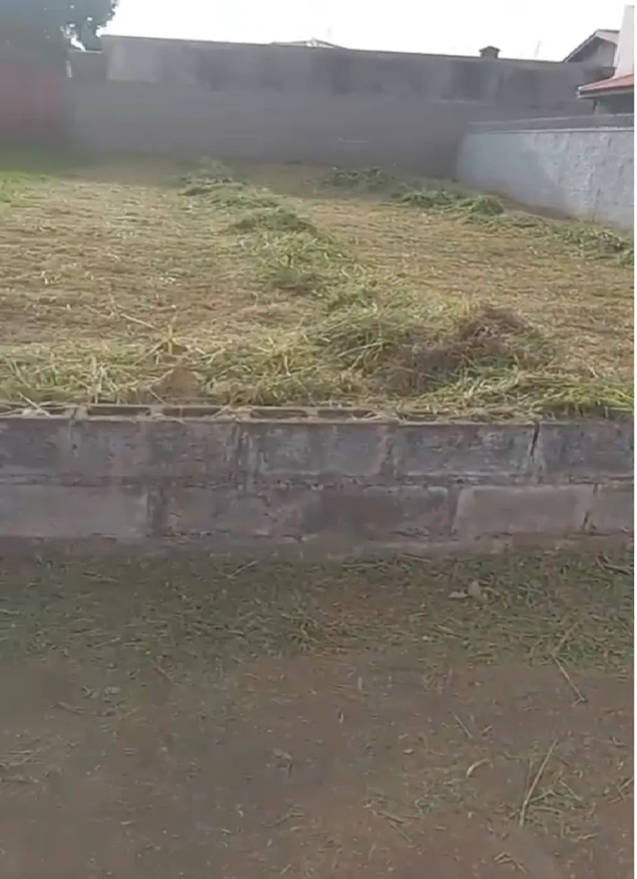 TERRENO TERRA VERDE - Foto 2