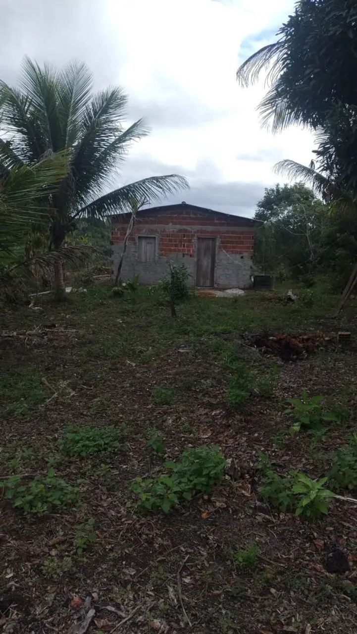 Sítio  - Foto 4