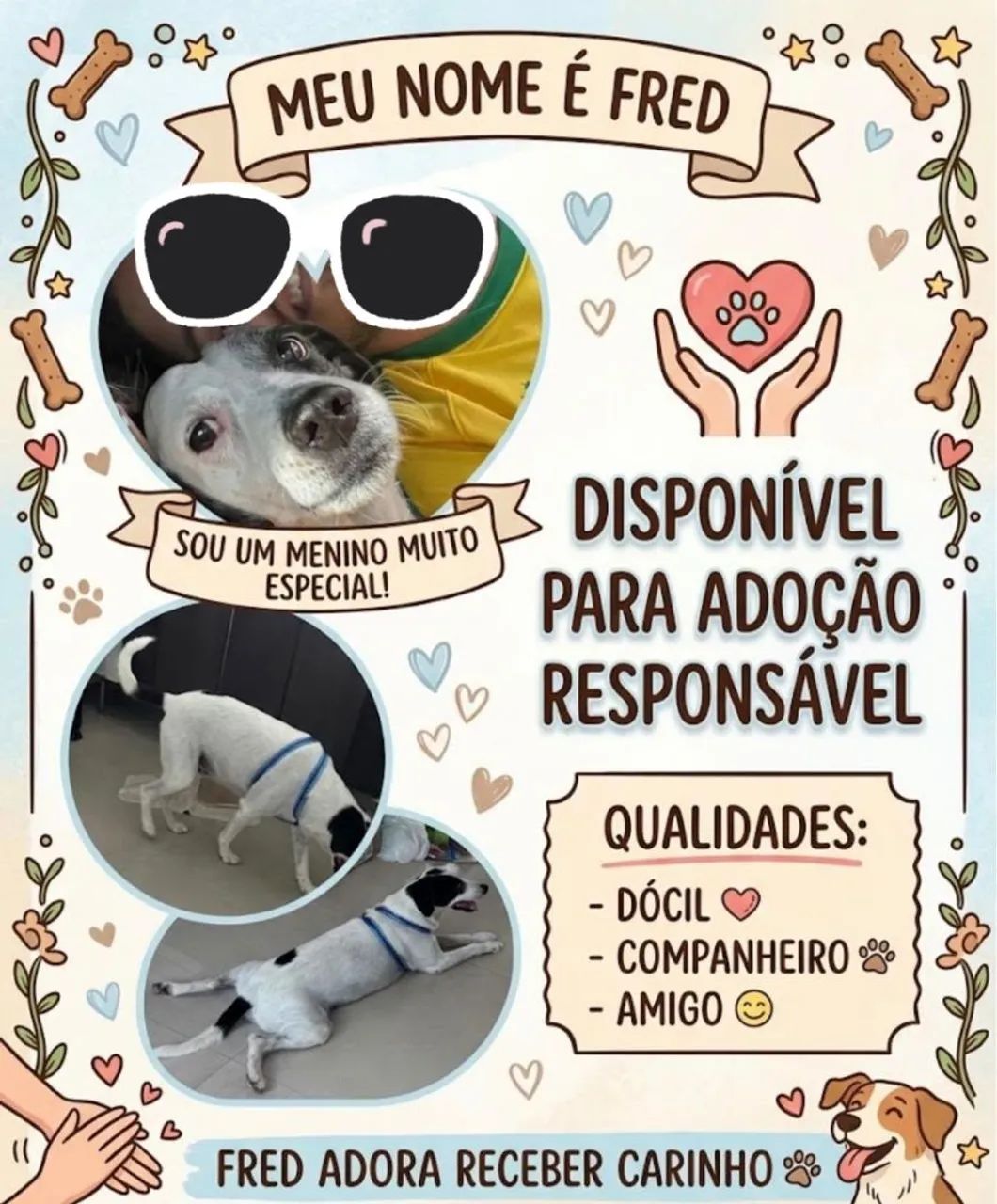 Doação de Cachorro dócil 