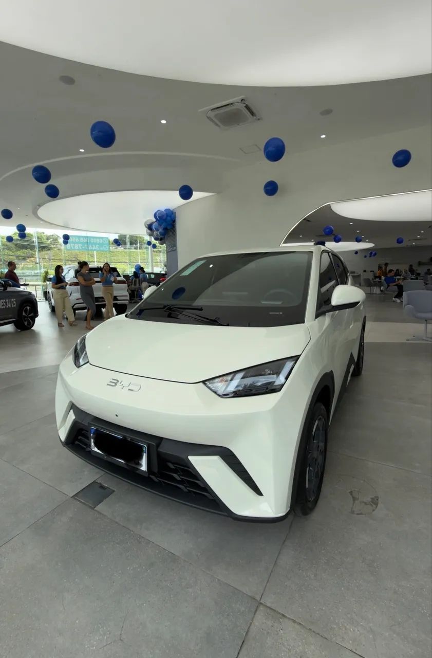 BYD Dolphin Mini (Elétrico) 2027