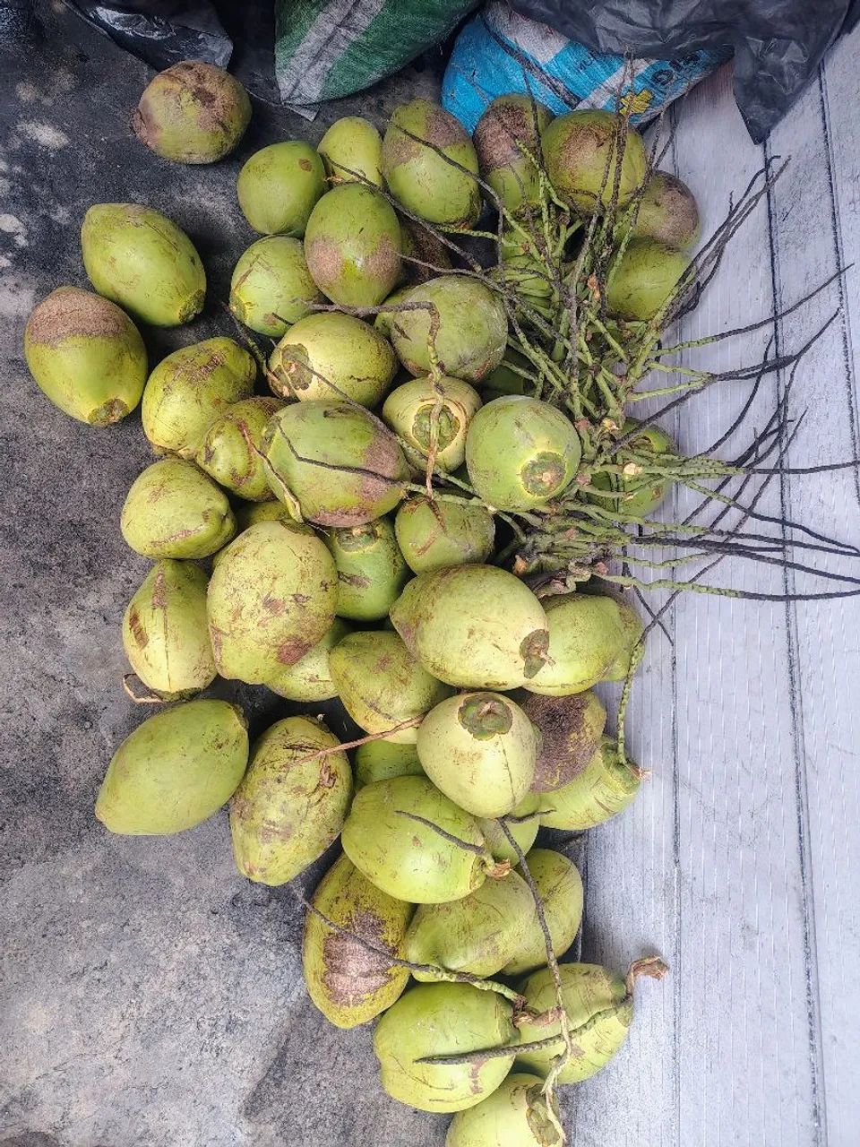 Vende-se coco, fruta e a água já já embalada 
