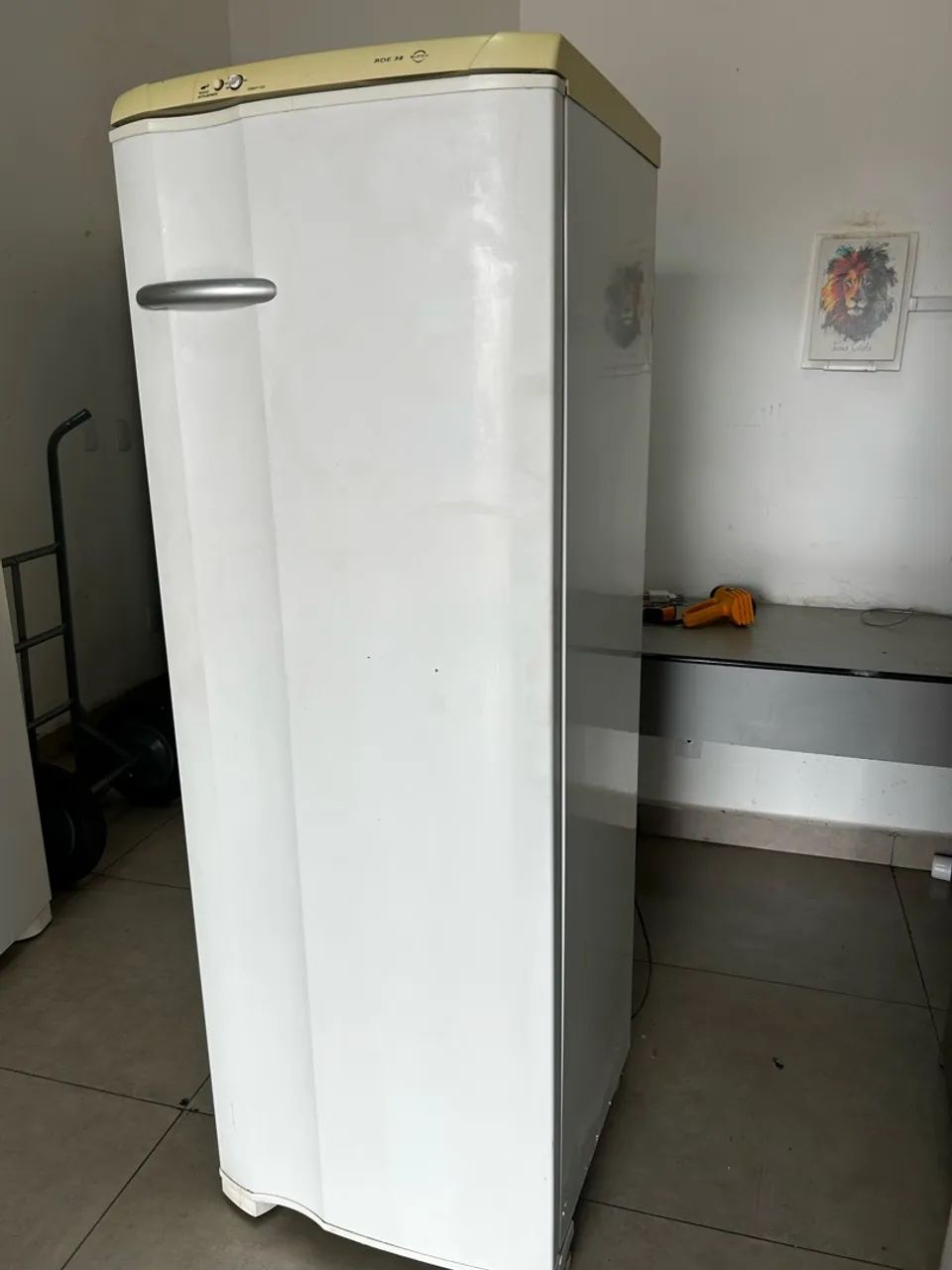 Geladeira Electrolux 110v