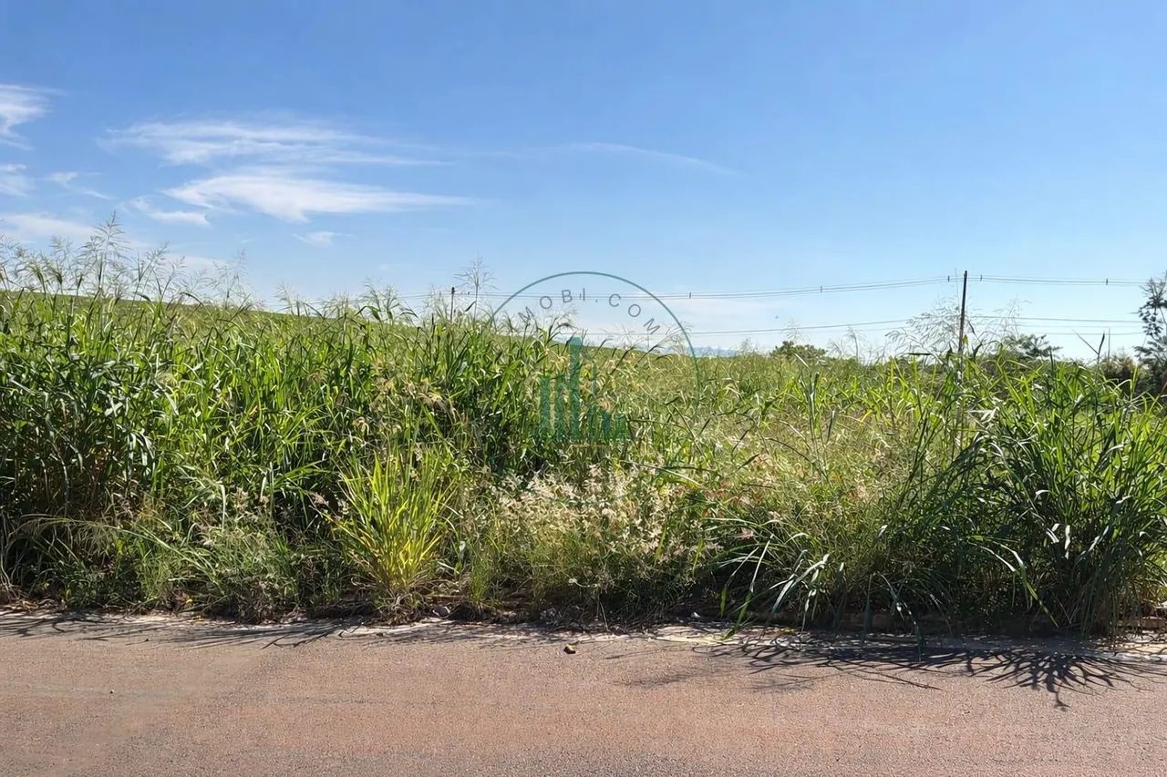 Lote / Terreno em Paraíso - Iracemápolis - Foto 2