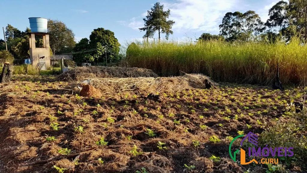 TERRENO - JOAPIRANGA - SP - Foto 4