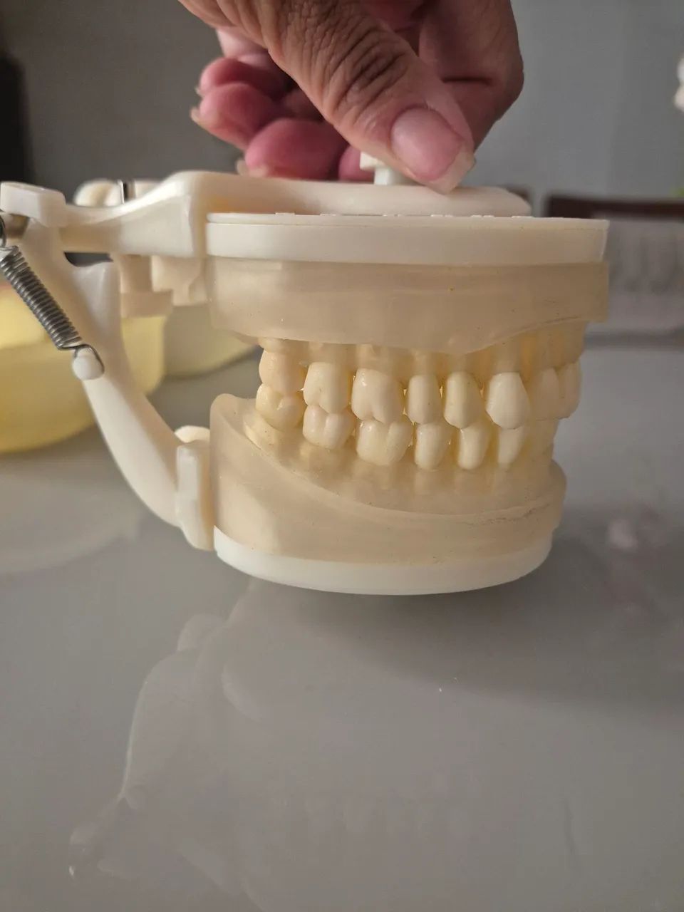 Manequim de Periodontia  - Foto 2