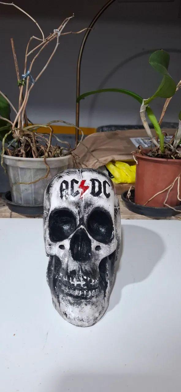 Caveira de gesso - Foto 3