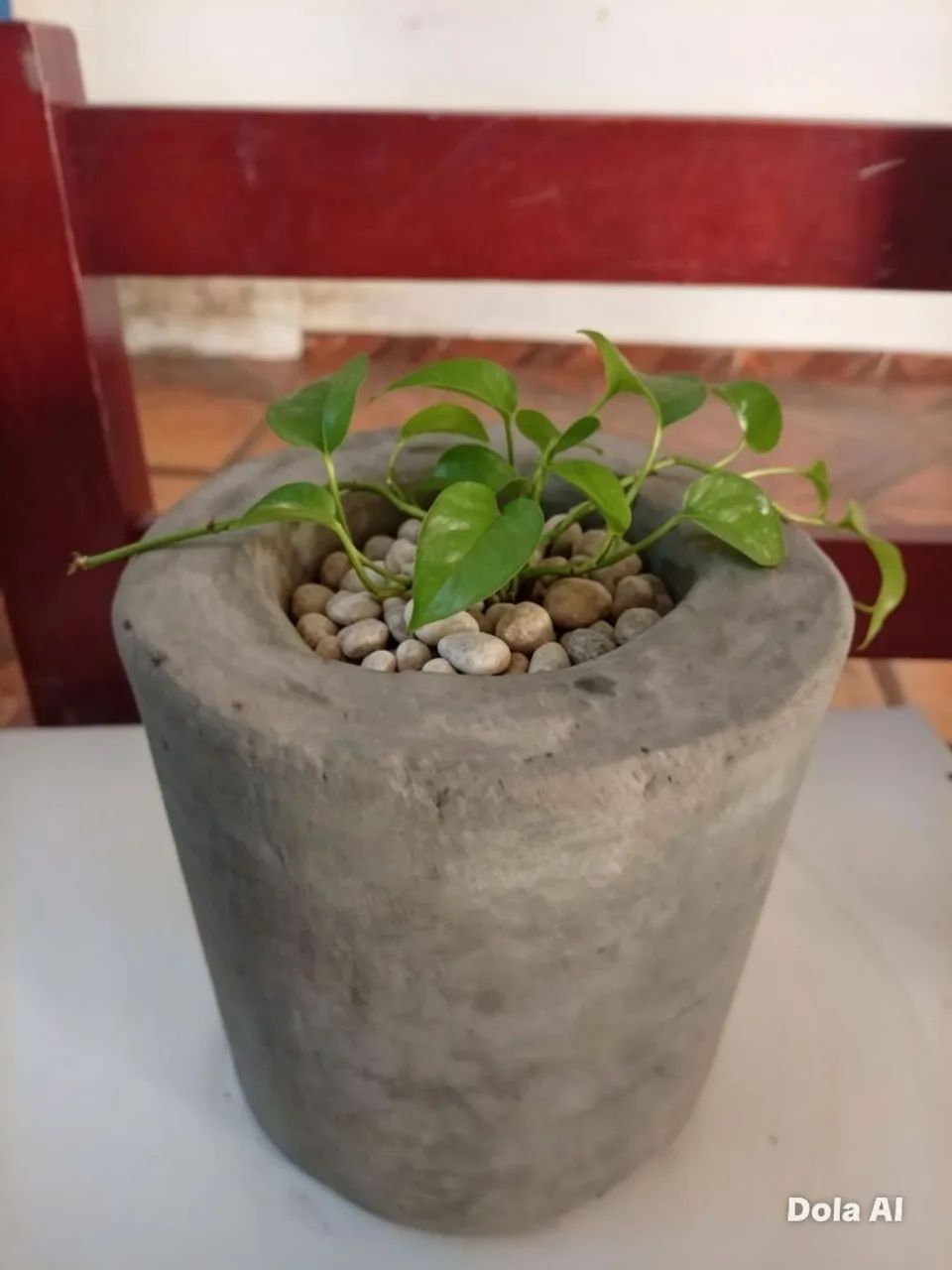 Vaso para plantas  - Foto 5