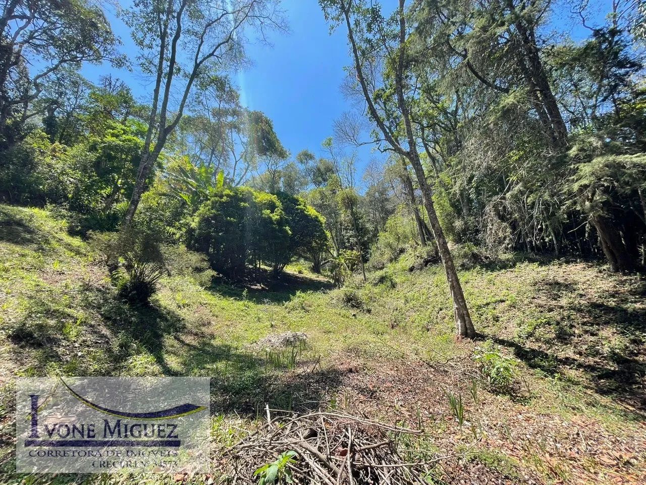 Terreno em Palmares - Paty do Alferes