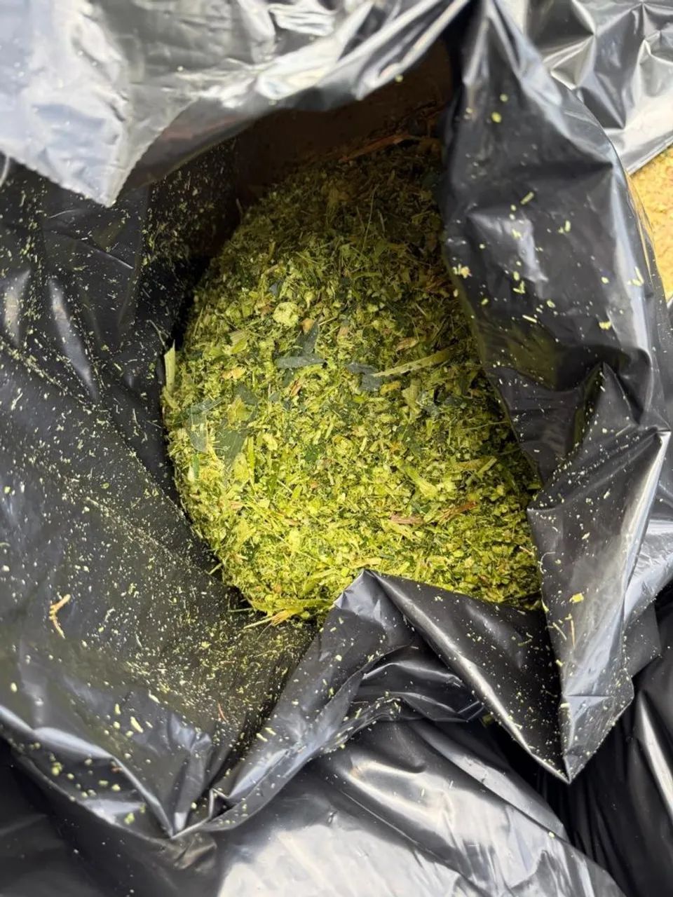 Silo de milho saco 30 kg  - Foto 4