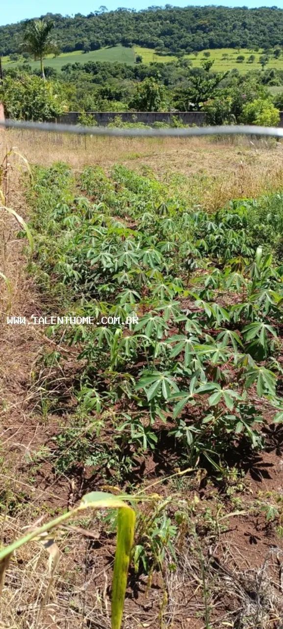 Área Rural para Venda - Foto 2