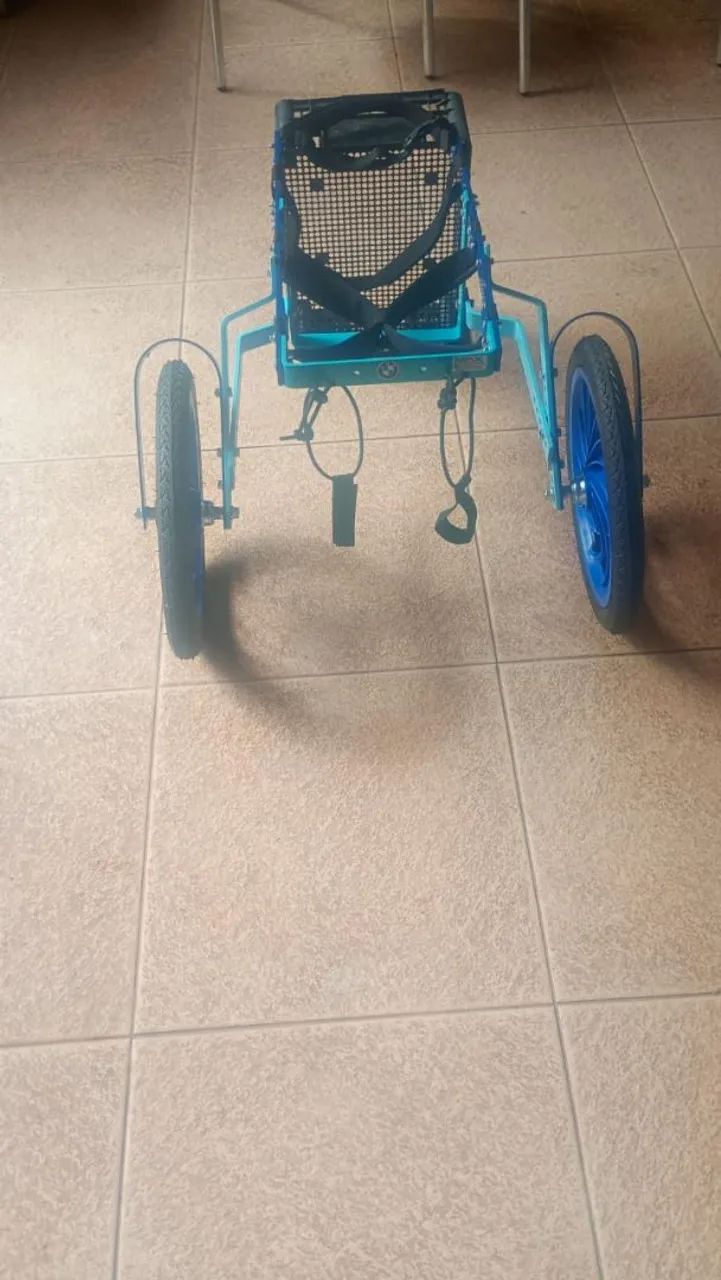 Cachorro andador - Foto 4