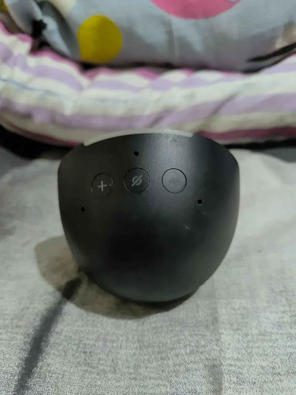 alexa - Foto 2