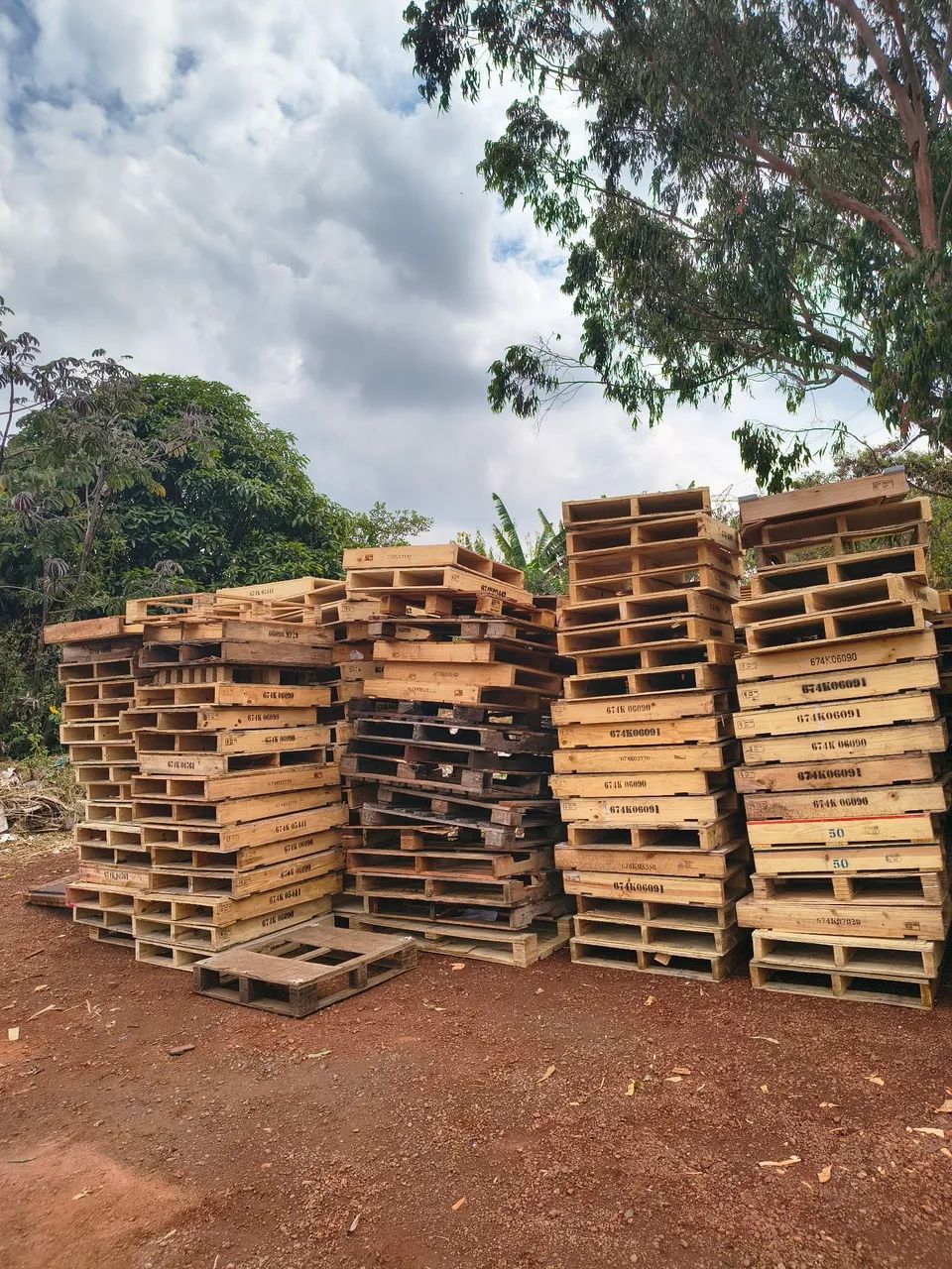 Pallets Plásticos  & Madeira USADOS - Foto 3