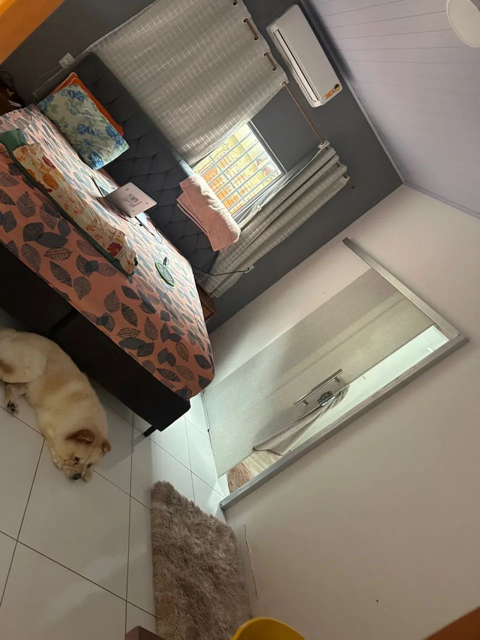 Foto - Rio Branco - Belo Jardim II