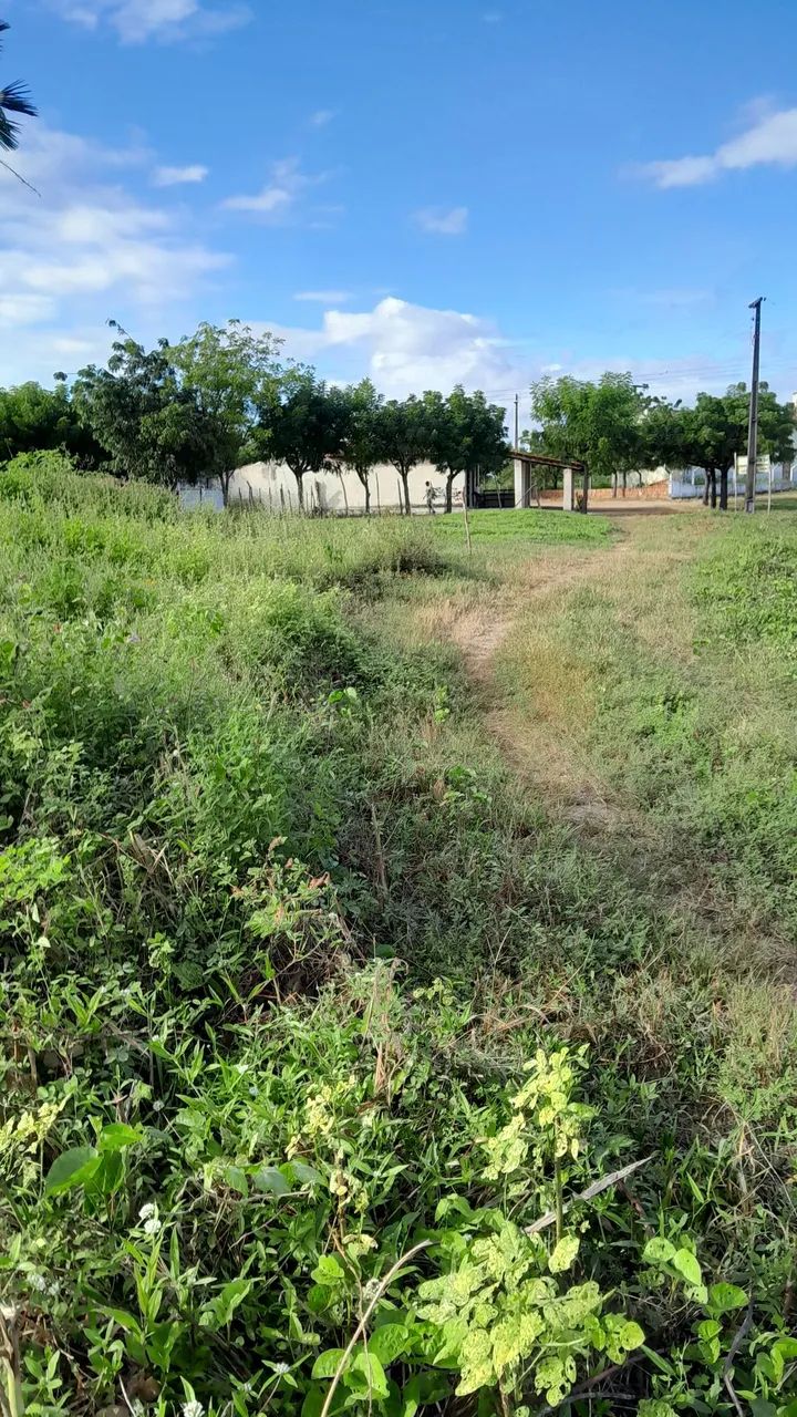 Terreno avenda  - Foto 2