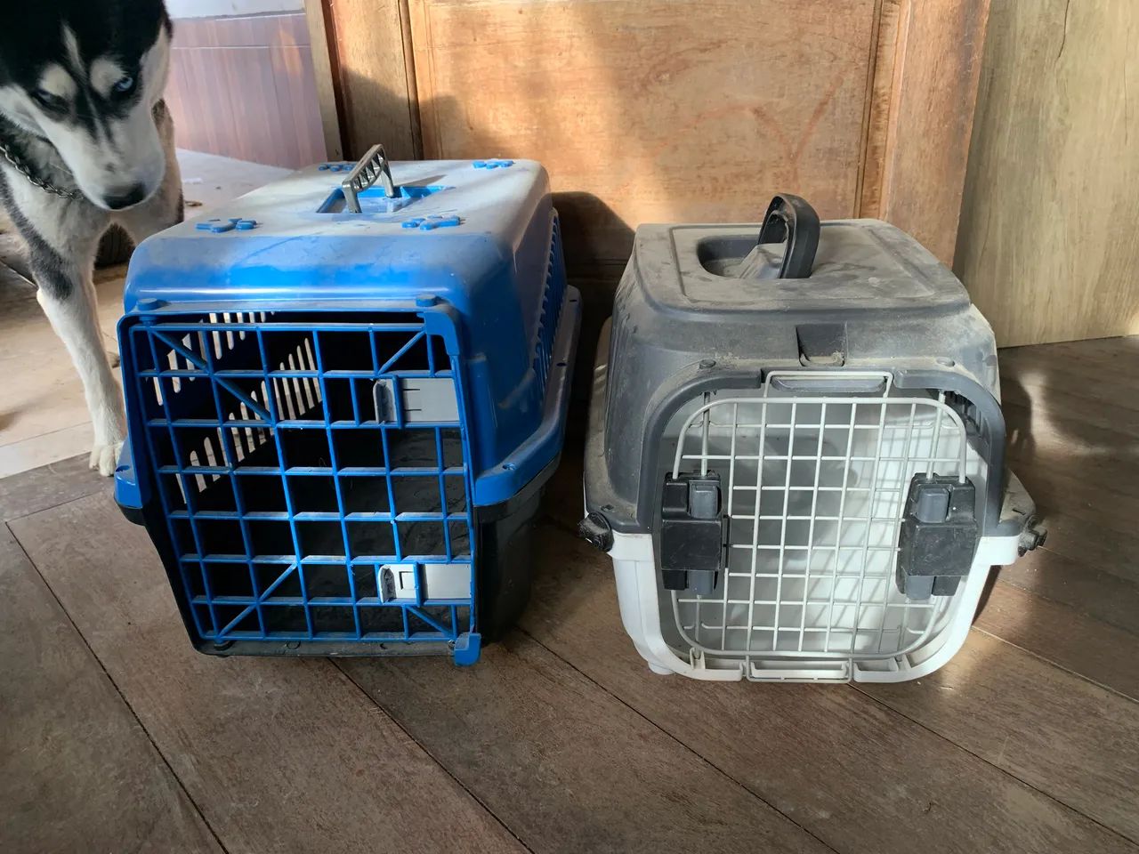 Caixa de transporte cachorro e gato  - Foto 4