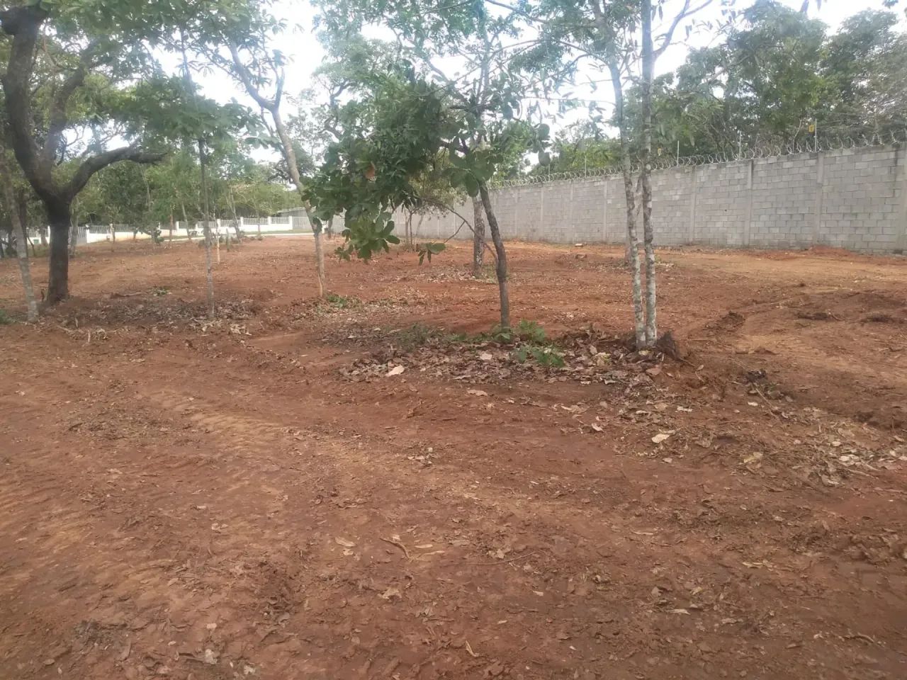 Chácara para venda com 2.976 metros quadrados - Foto 4