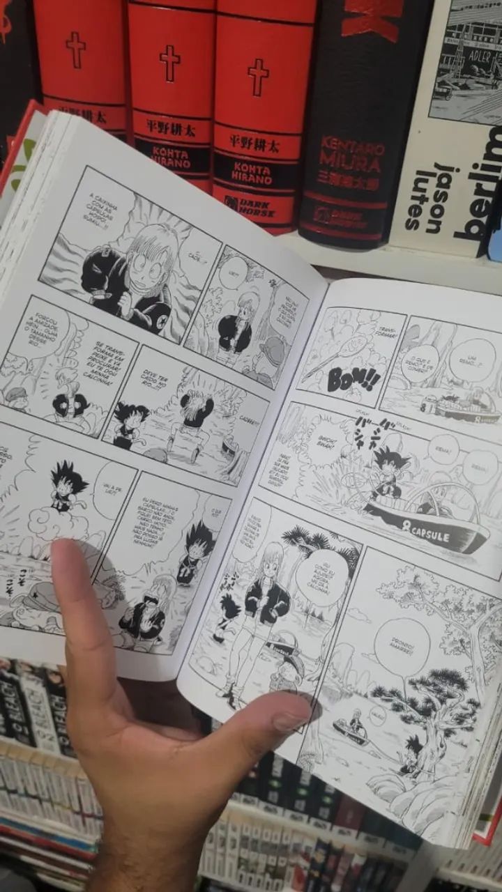 Dragon Ball Deluxe/Kanzenban 1 ao 22 (menos 6 e 10) - Livros e