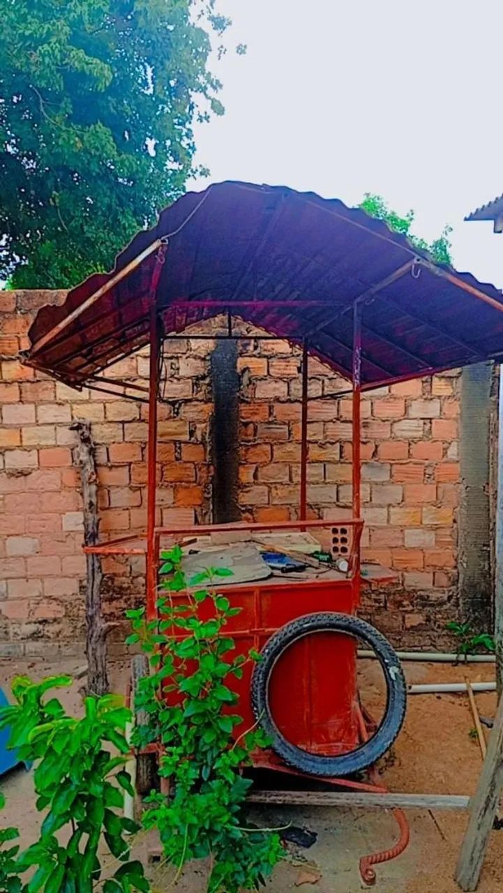 Carinho para trabalhar  - Foto 2