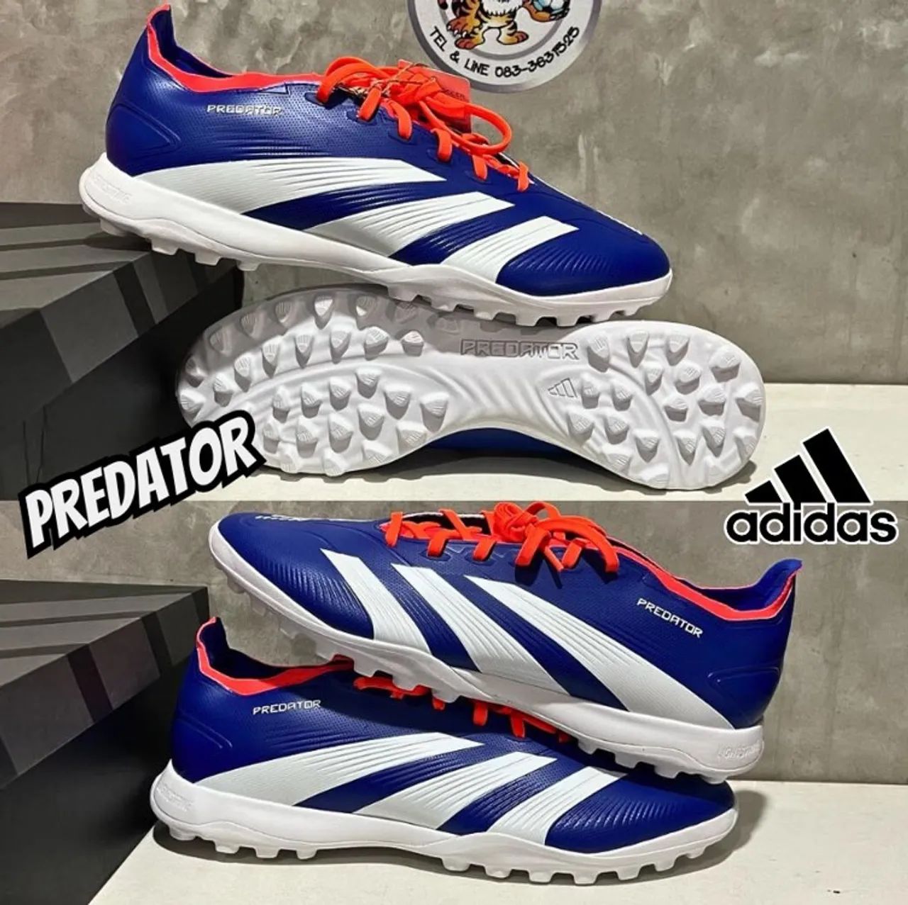 Tenis