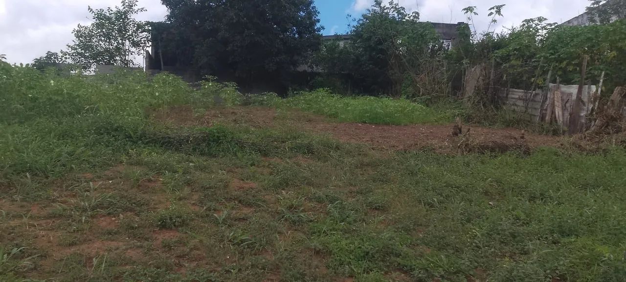 Foto - Mogi das Cruzes - Jardim Piatã A
