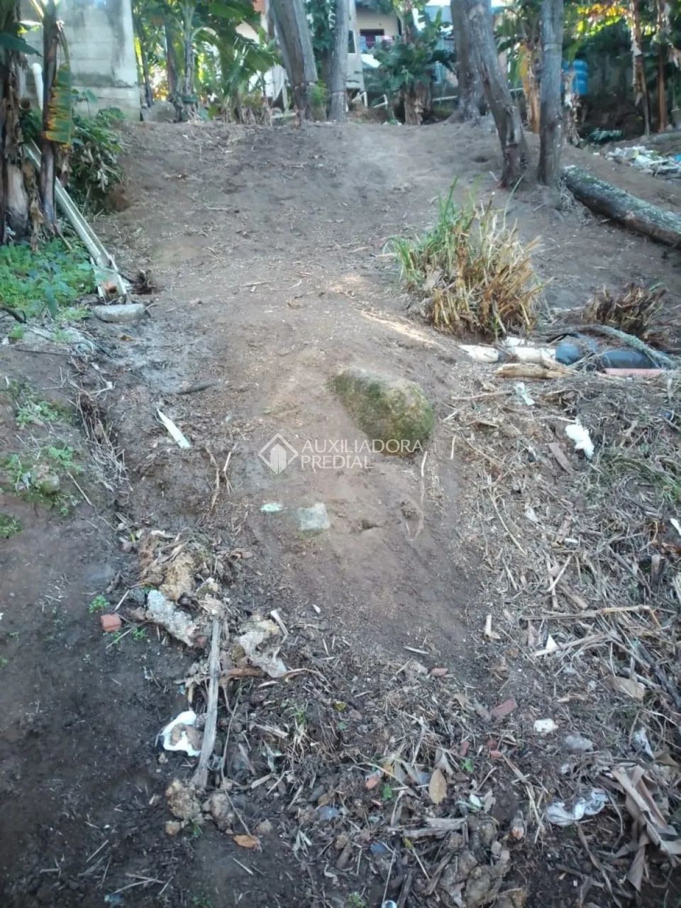 Terreno no Saco Grande com 480m² - Foto 5