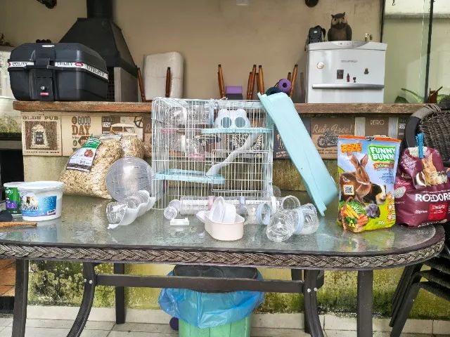 Kit hamster  - Foto 5
