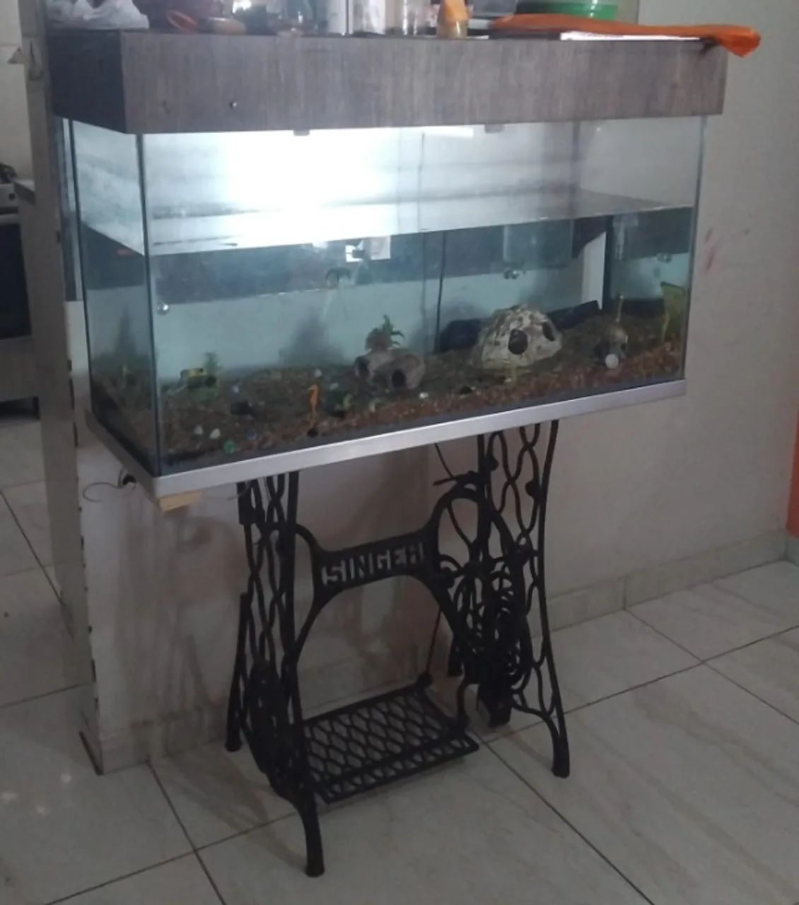 Aquário  - Foto 2