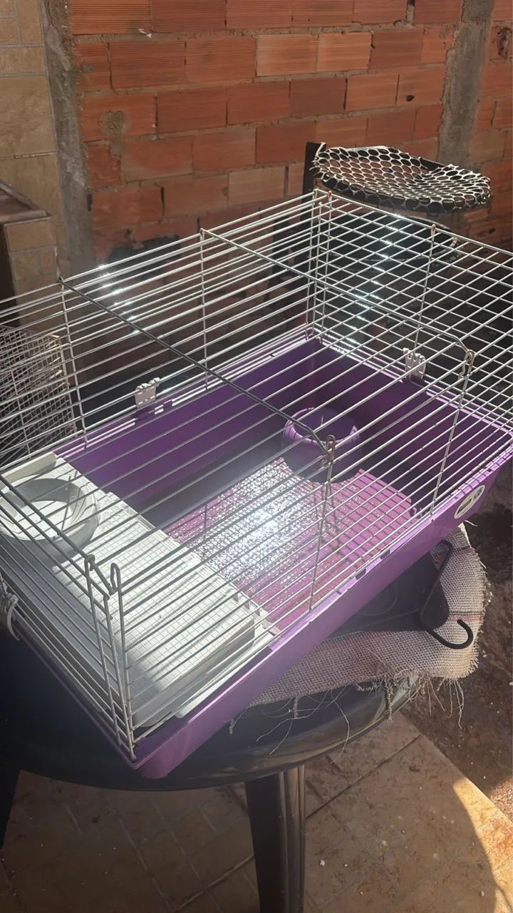  Gaiola Ferplast Cavie 80 para Roedores Violeta - Foto 3