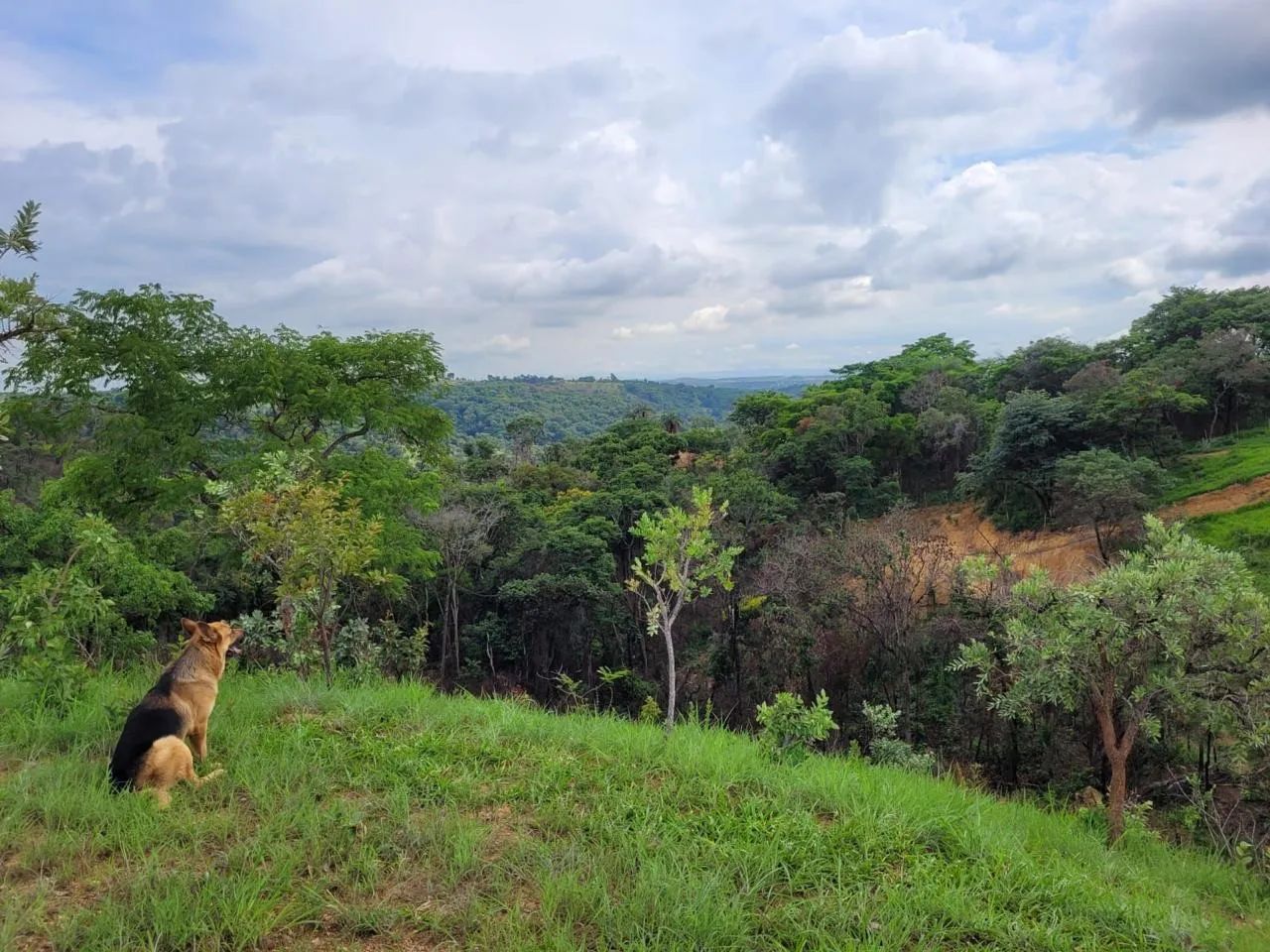Foto - São José da Lapa - 
