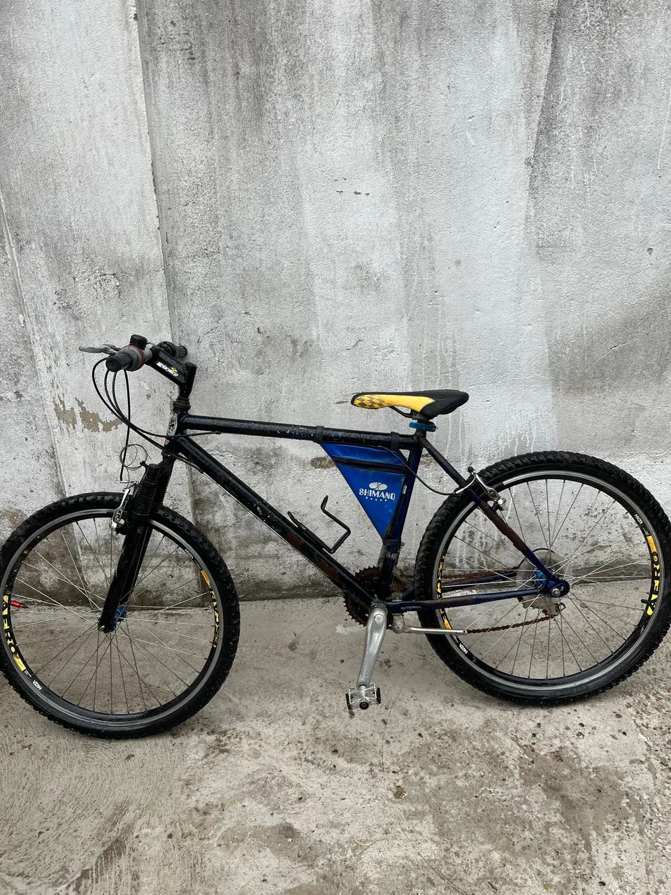 Bicicleta 