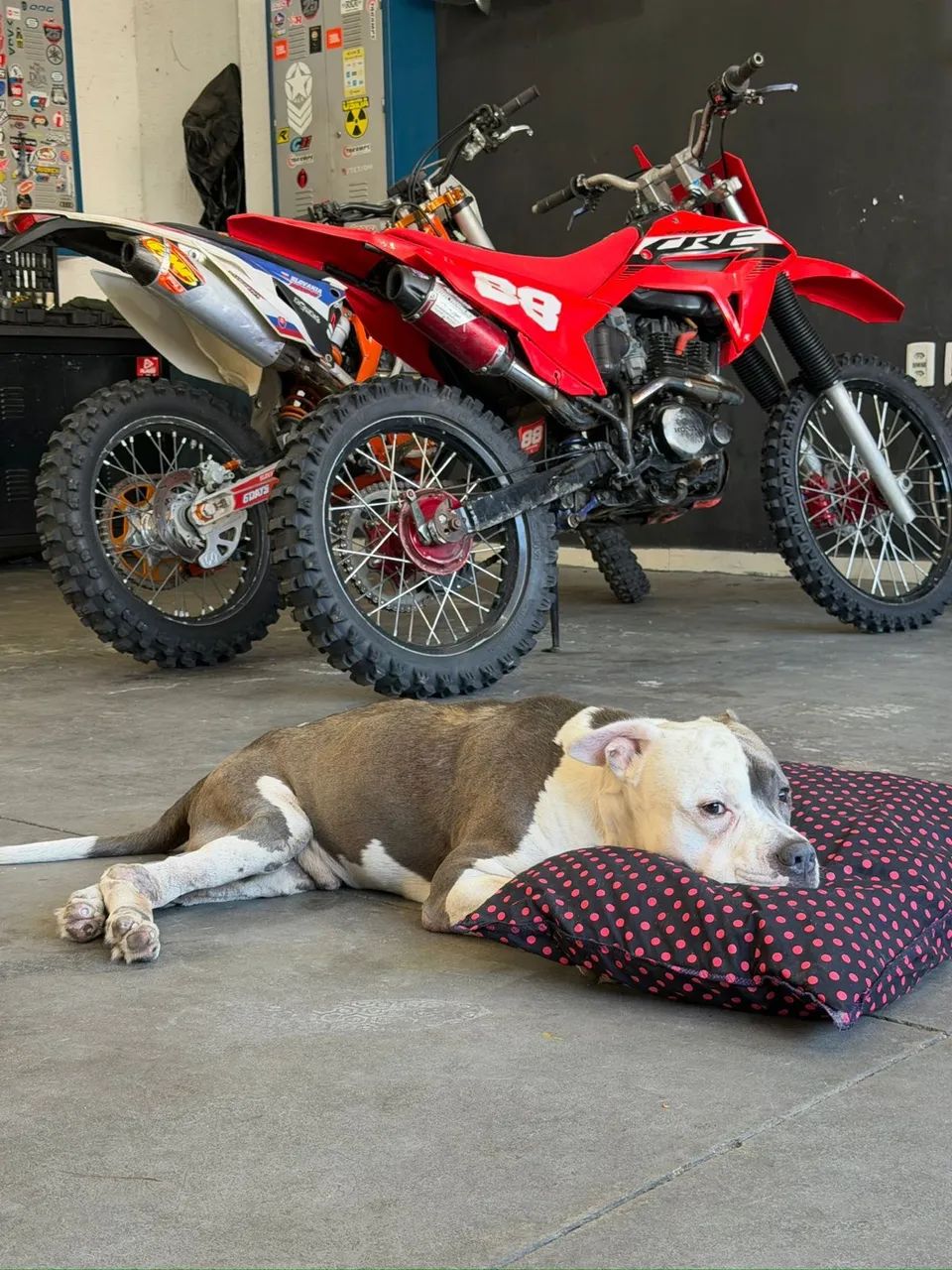 CRF 230F 2009 - Foto 3