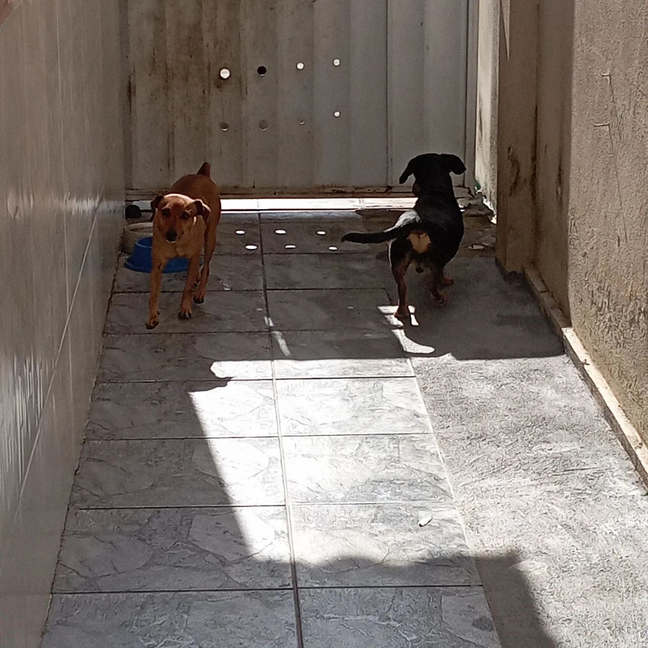 Doando  - Foto 2