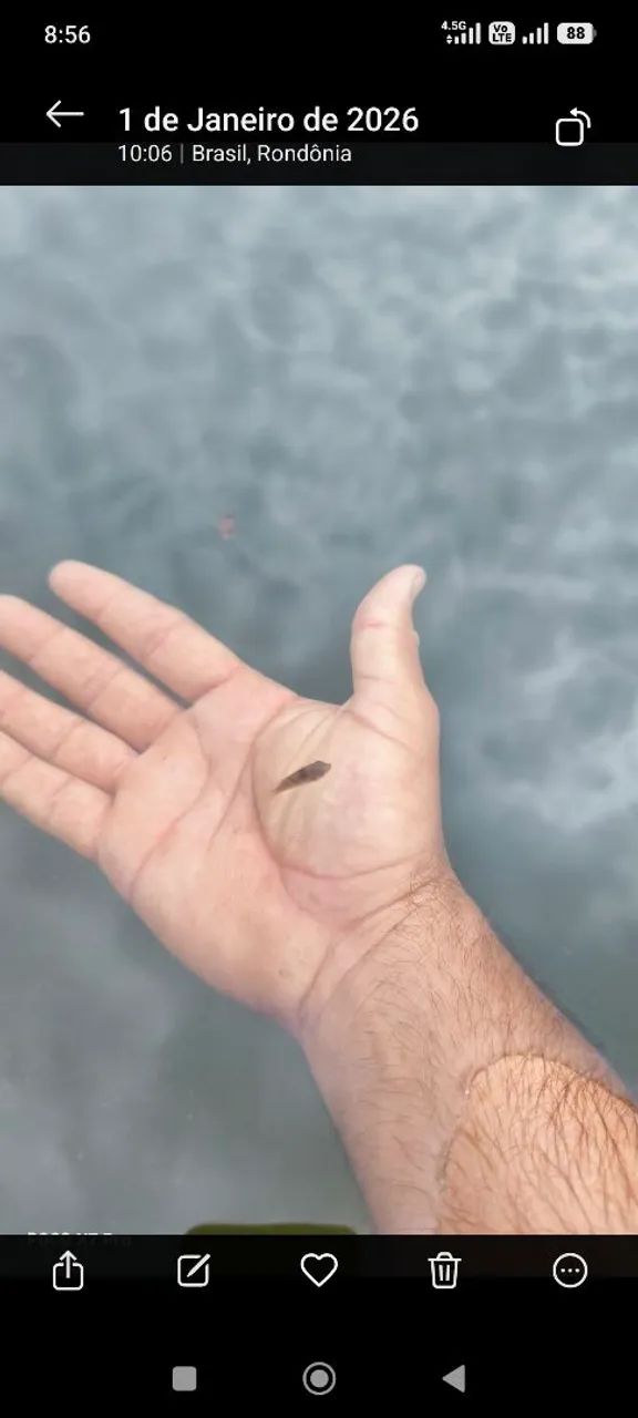 Sítio 100X1600 - Foto 5