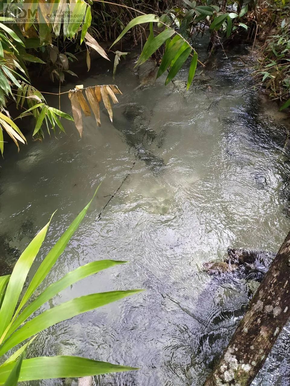 Fazenda Agropecuária com 2500 ha em Nova Lacerda - MT - Foto 2
